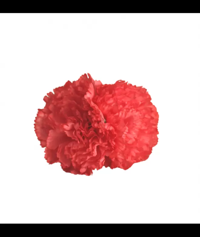 Flores De Flamenca^Doña Sol Clavel Coral Doble